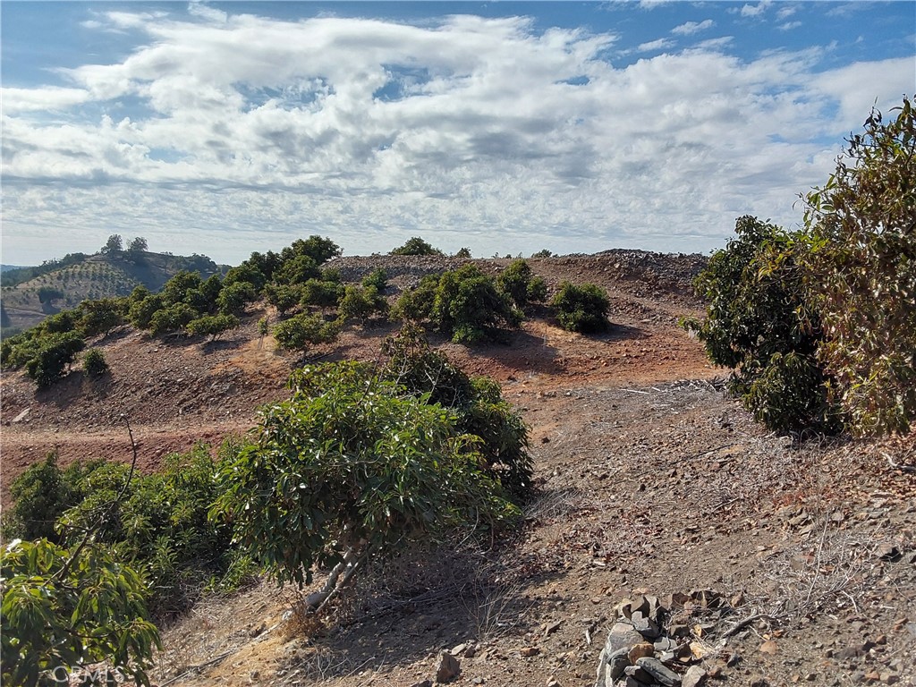 3 Via Vaquero Property Photo 13