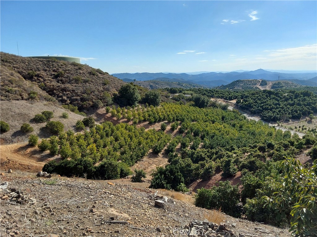 3 Via Vaquero Property Photo 15