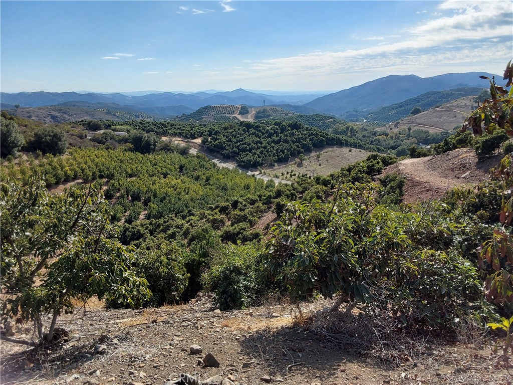 3 Via Vaquero Property Photo 16