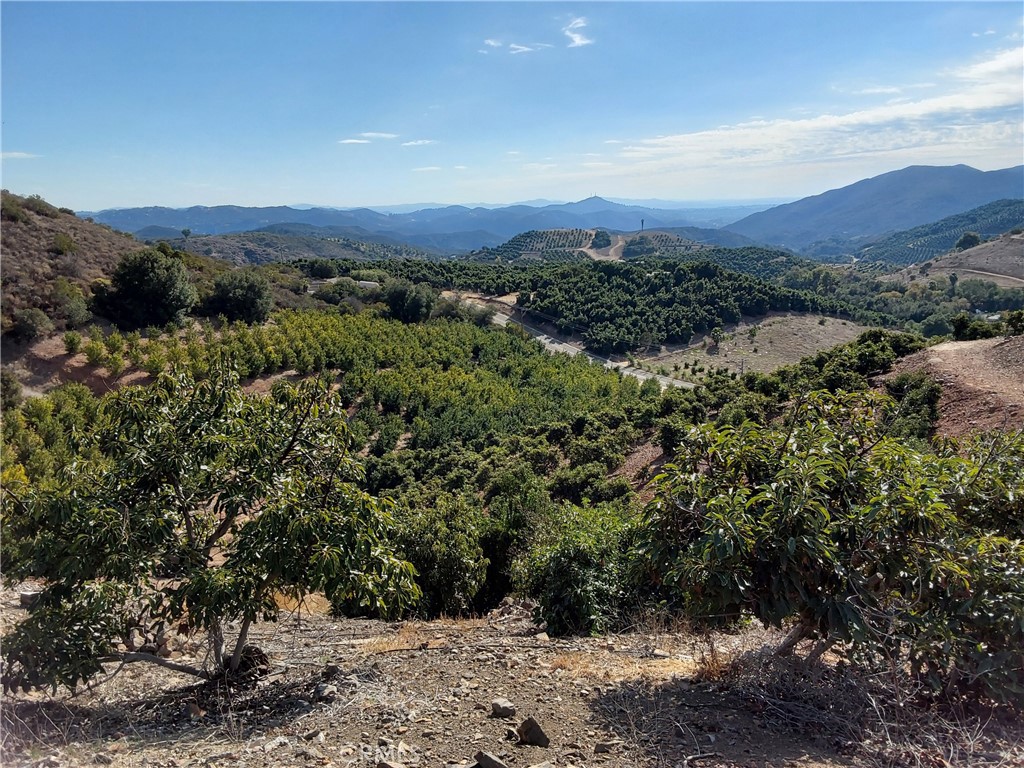 3 Via Vaquero Property Photo 17