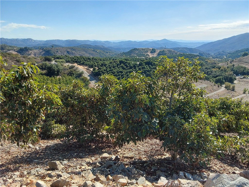 3 Via Vaquero Property Photo 18