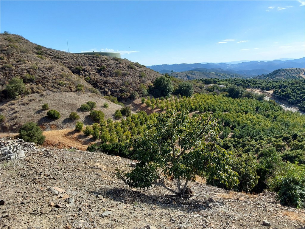 3 Via Vaquero Property Photo 20