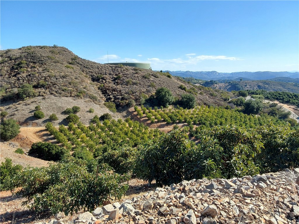 3 Via Vaquero Property Photo 28