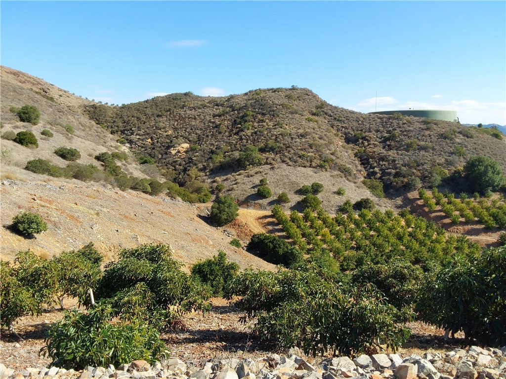 3 Via Vaquero Property Photo 29