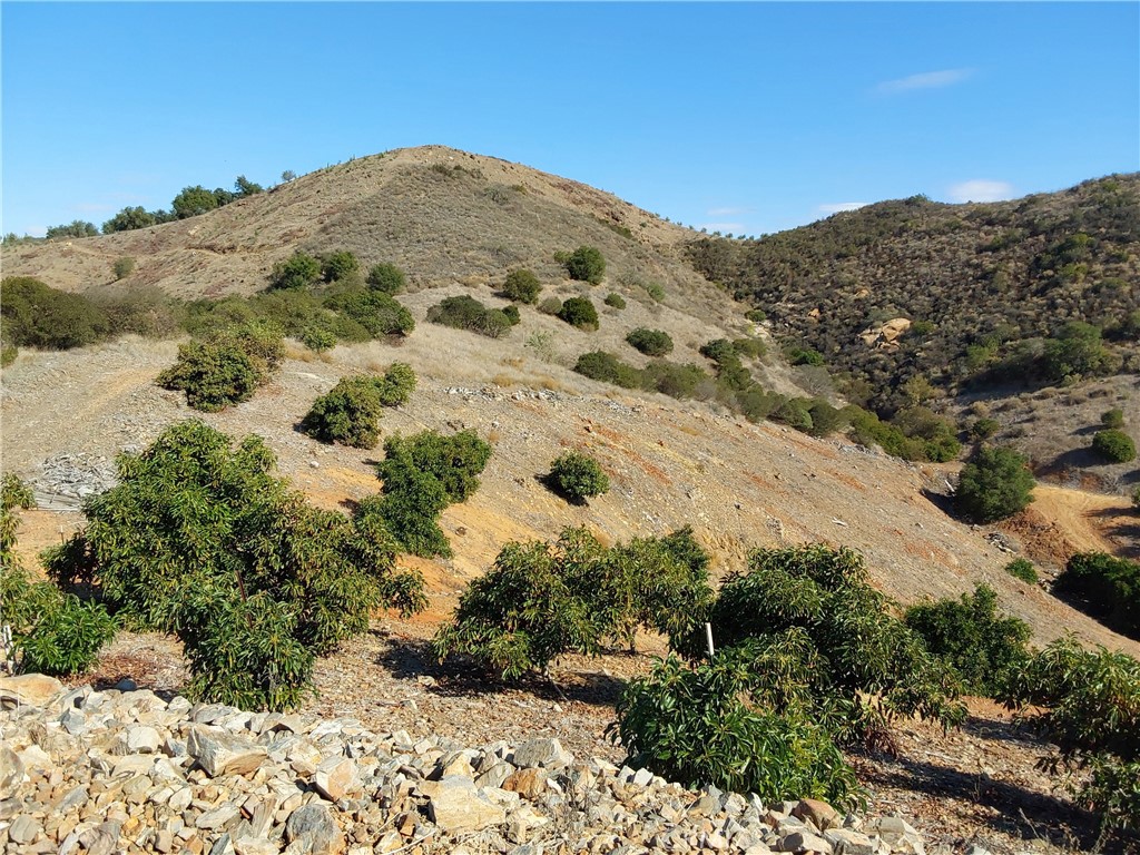 3 Via Vaquero Property Photo 30