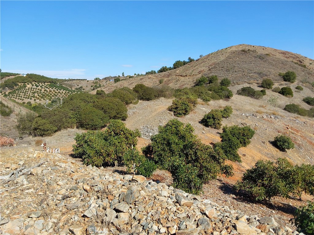 3 Via Vaquero Property Photo 31
