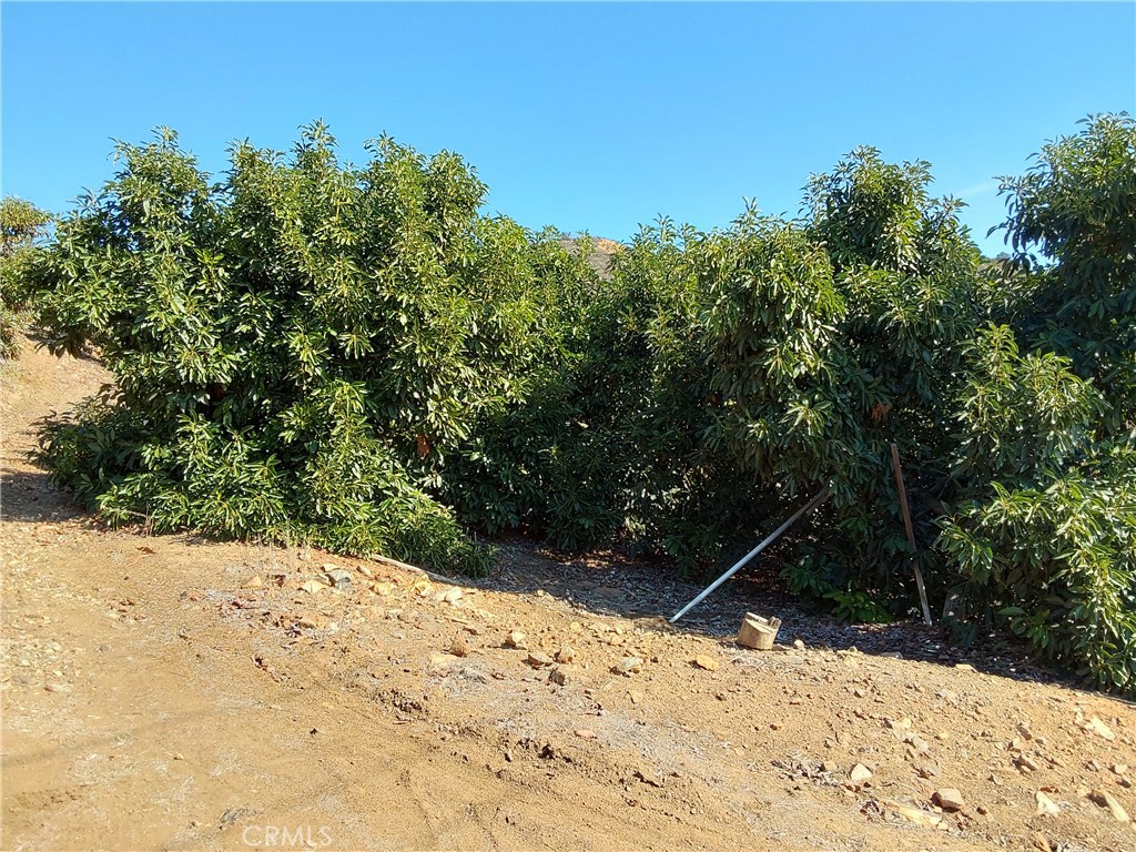 3 Via Vaquero Property Photo 34