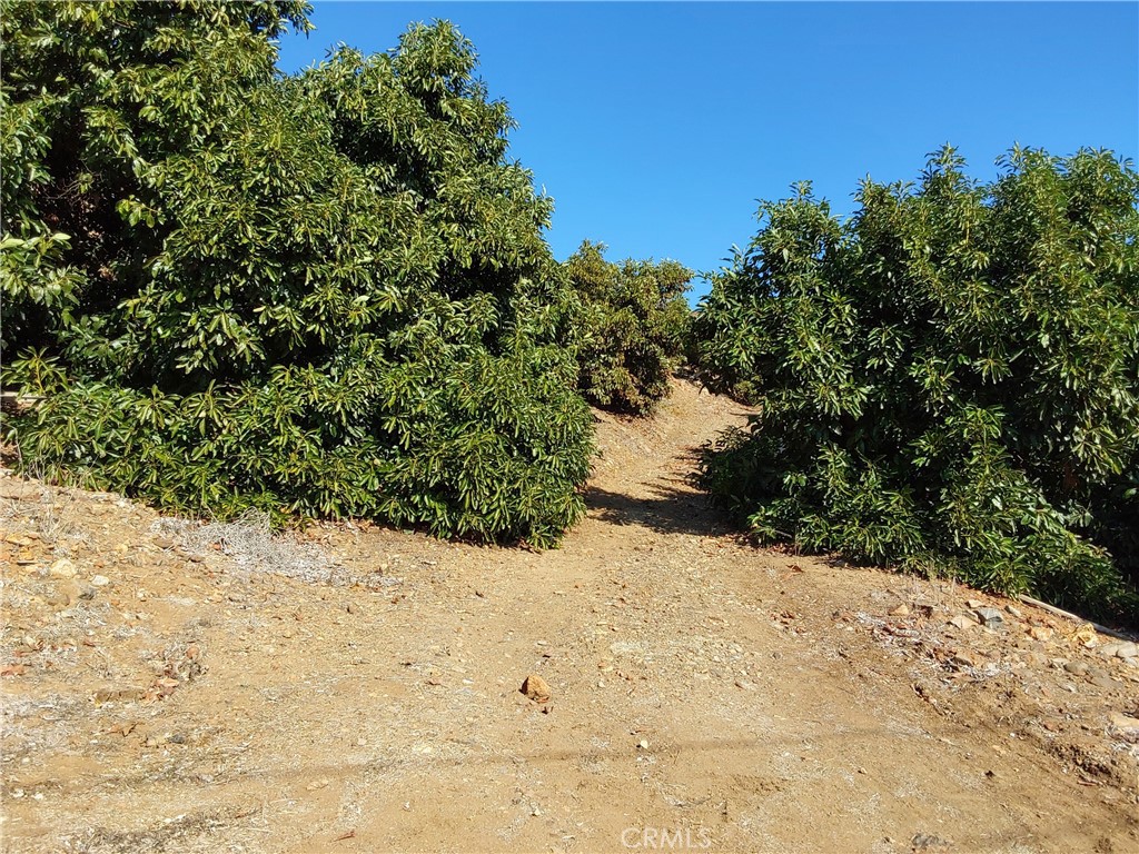 3 Via Vaquero Property Photo 35