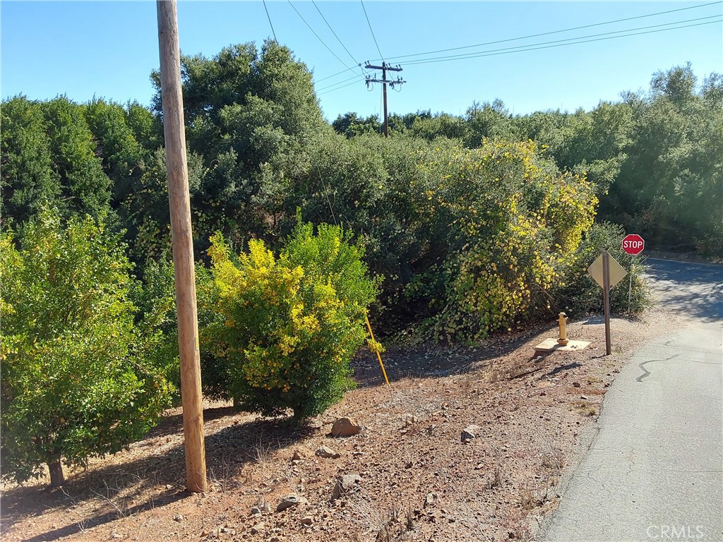 3 Via Vaquero Property Photo 37