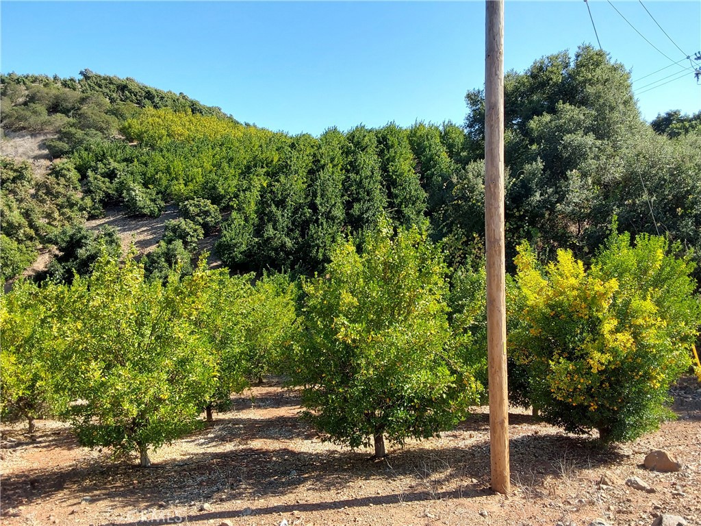3 Via Vaquero Property Photo 38