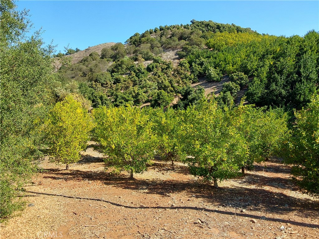 3 Via Vaquero Property Photo 39
