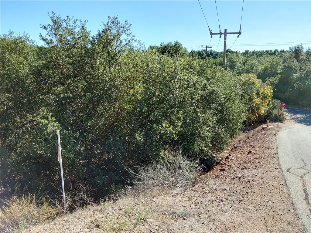 3 Via Vaquero Property Photo 40