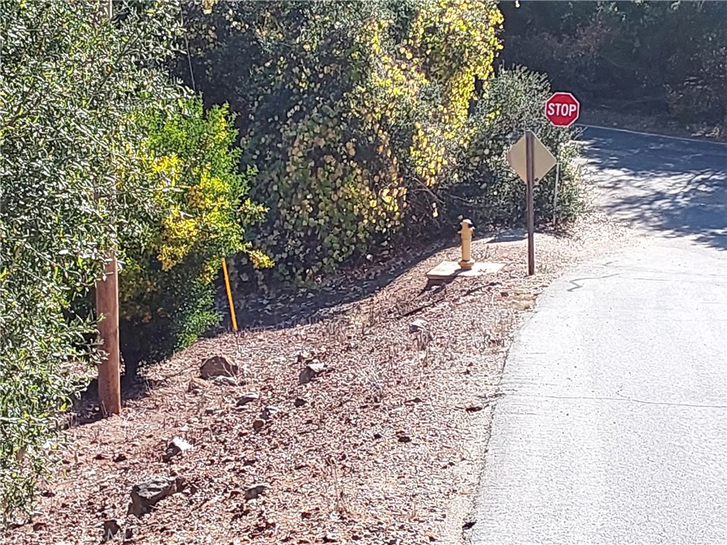 3 Via Vaquero Property Photo 41
