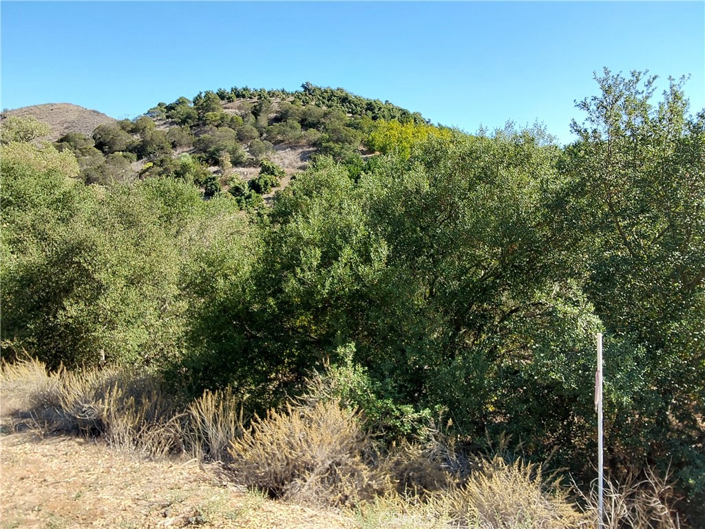 3 Via Vaquero Property Photo 42