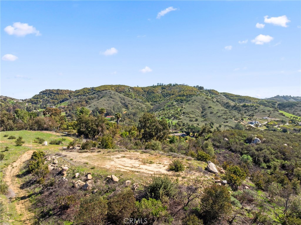 2 Las Palmeras Property Photo 2