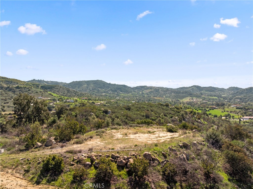 2 Las Palmeras Property Photo 4