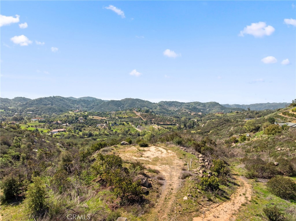 2 Las Palmeras Property Photo 6