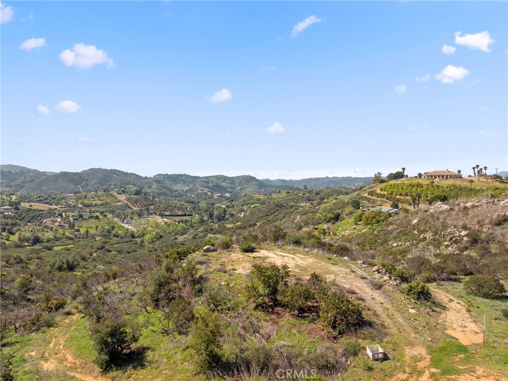 2 Las Palmeras Property Photo 7