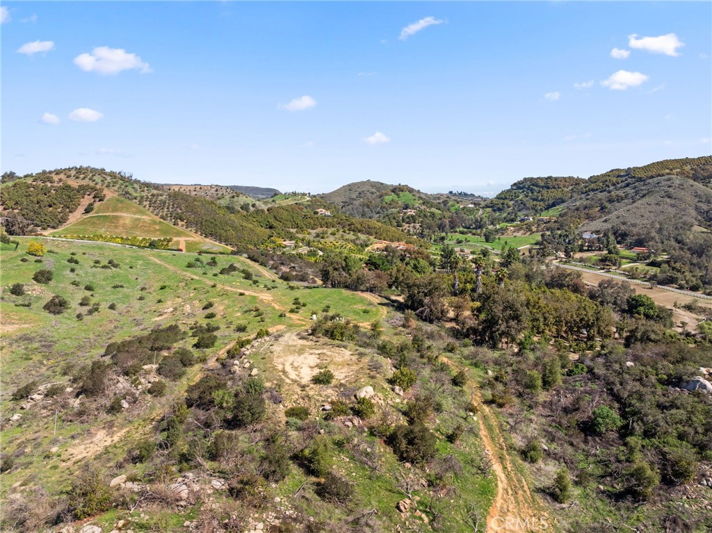 2 Las Palmeras Property Photo 9
