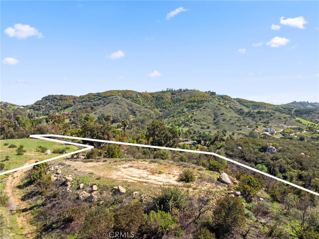 2 Las Palmeras Property Photo 12