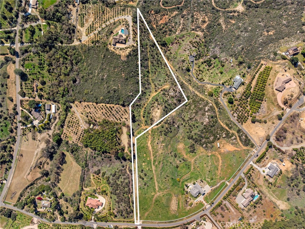 2 Las Palmeras Property Photo 17