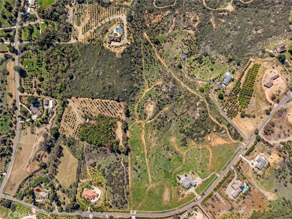 2 Las Palmeras Property Photo 19