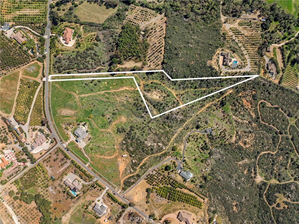 2 Las Palmeras Property Photo 20