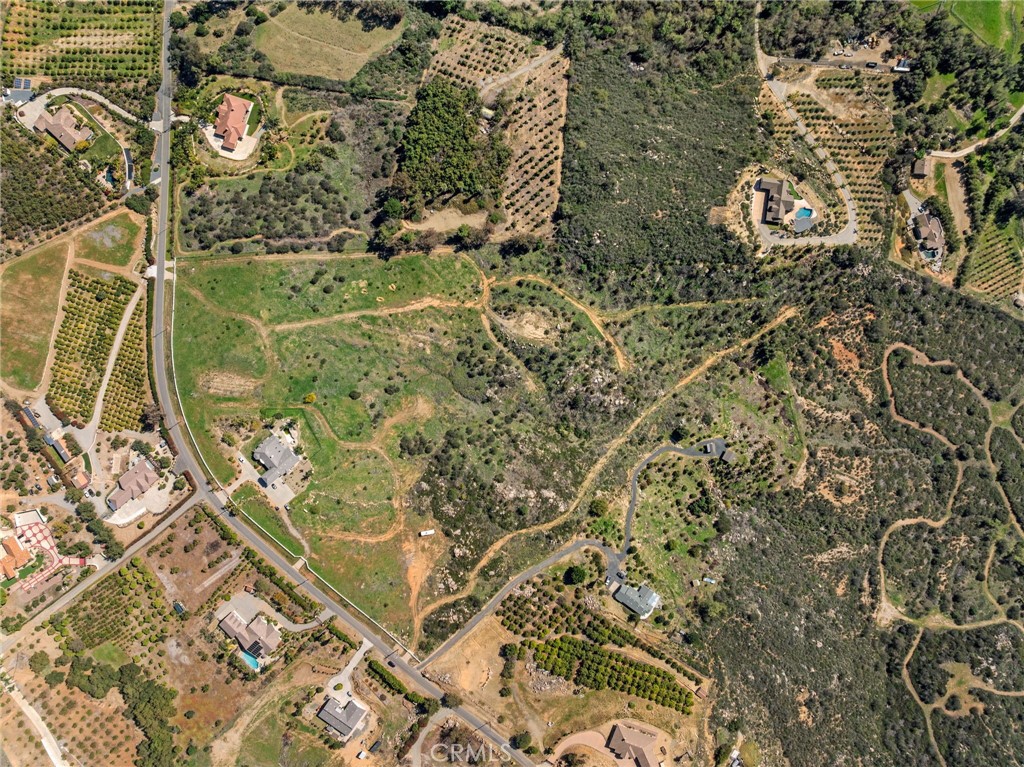 2 Las Palmeras Property Photo 21