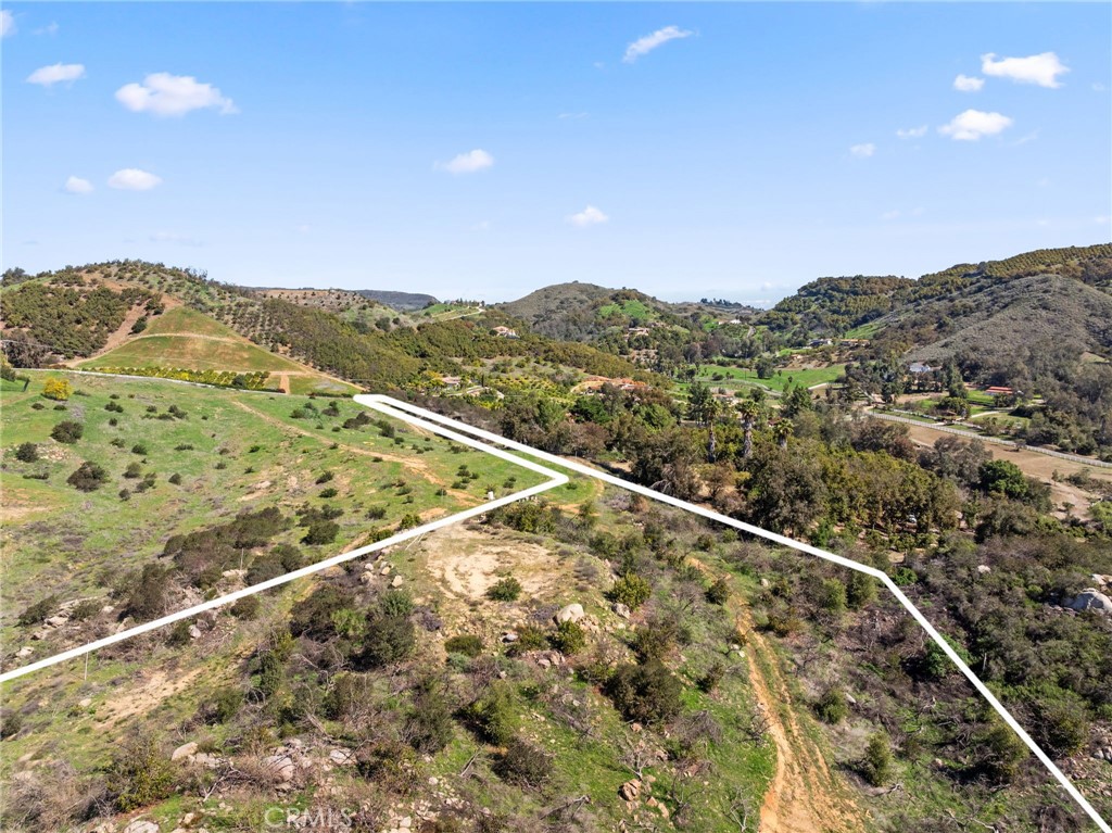 2 Las Palmeras Property Photo 28