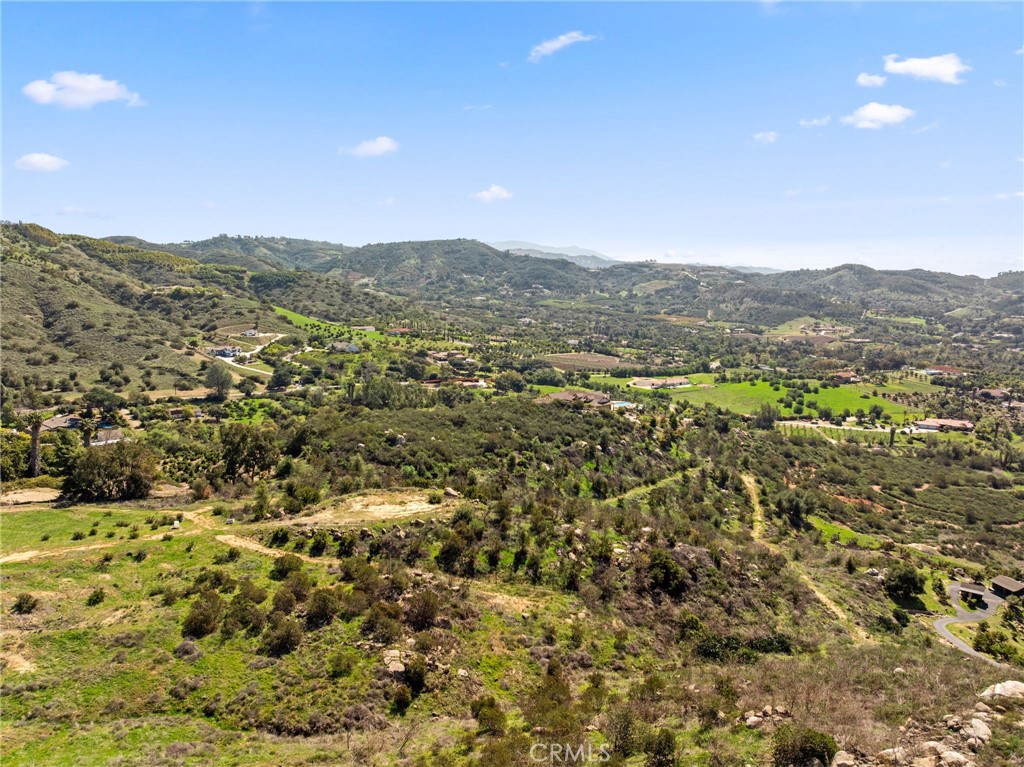 2 Las Palmeras Property Photo 29