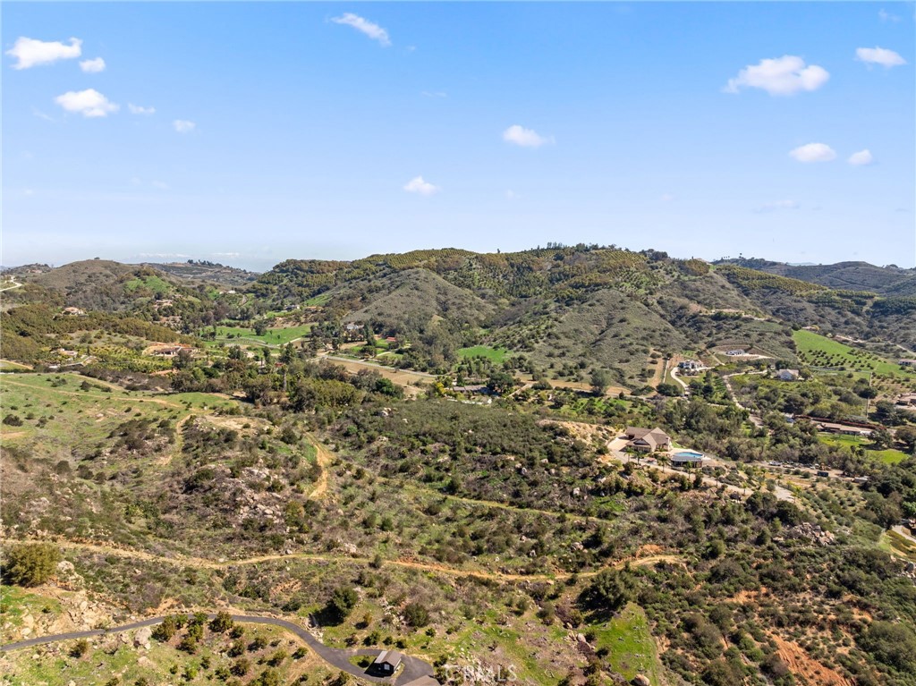 2 Las Palmeras Property Photo 32