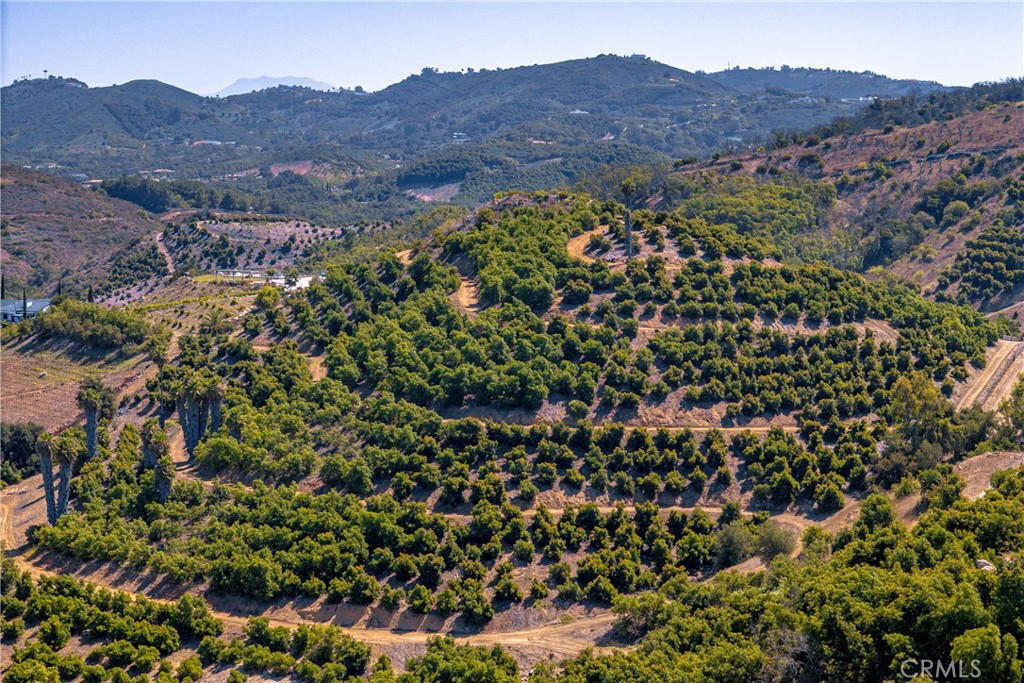 0 Carancho Property Photo 15