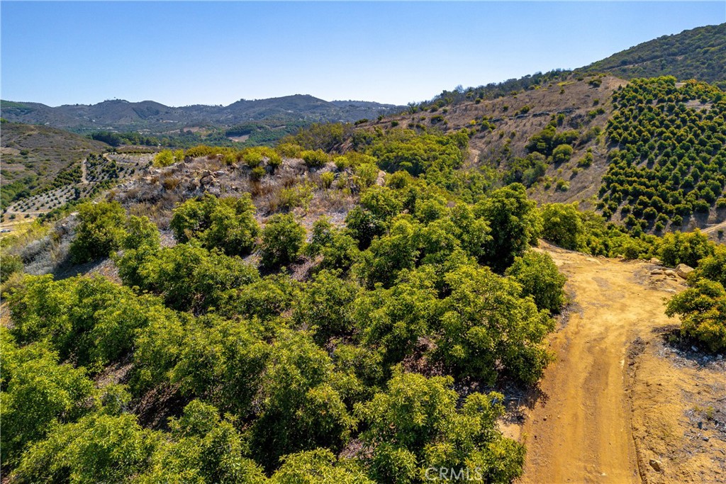 0 Carancho Property Photo 16