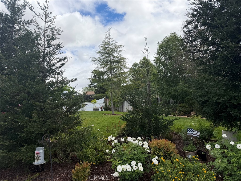 42798 Twilight Court Property Photo 3