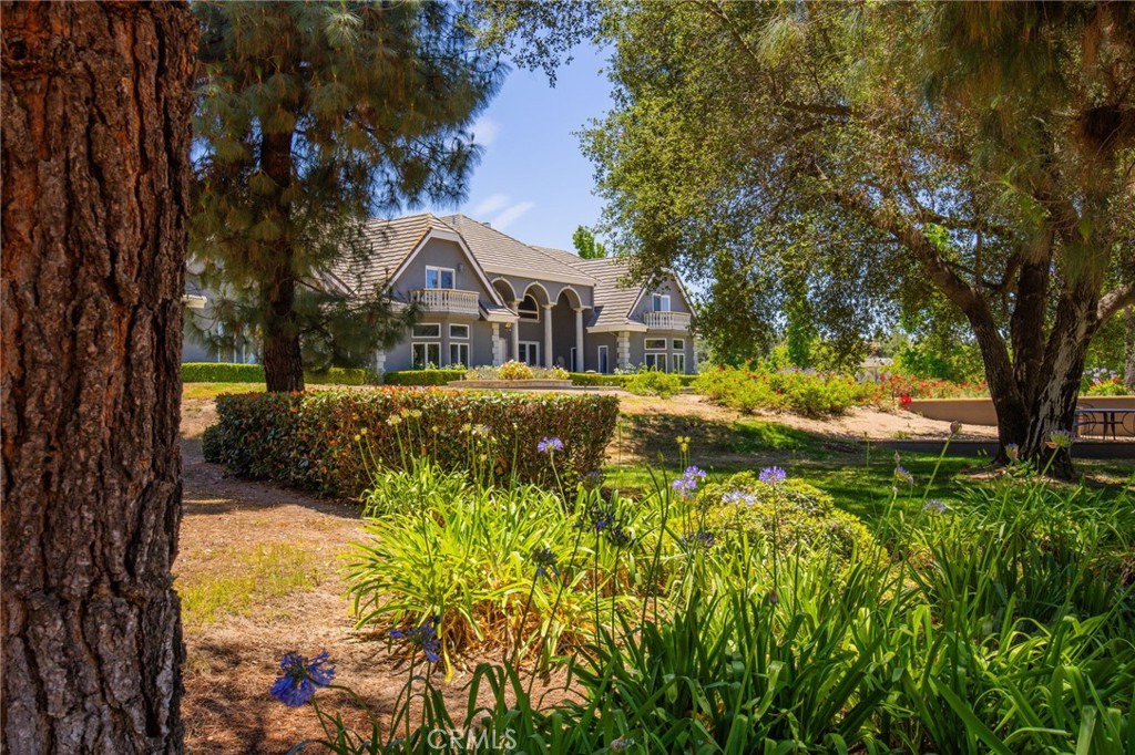 37954 Calle De Lobo Property Photo 42