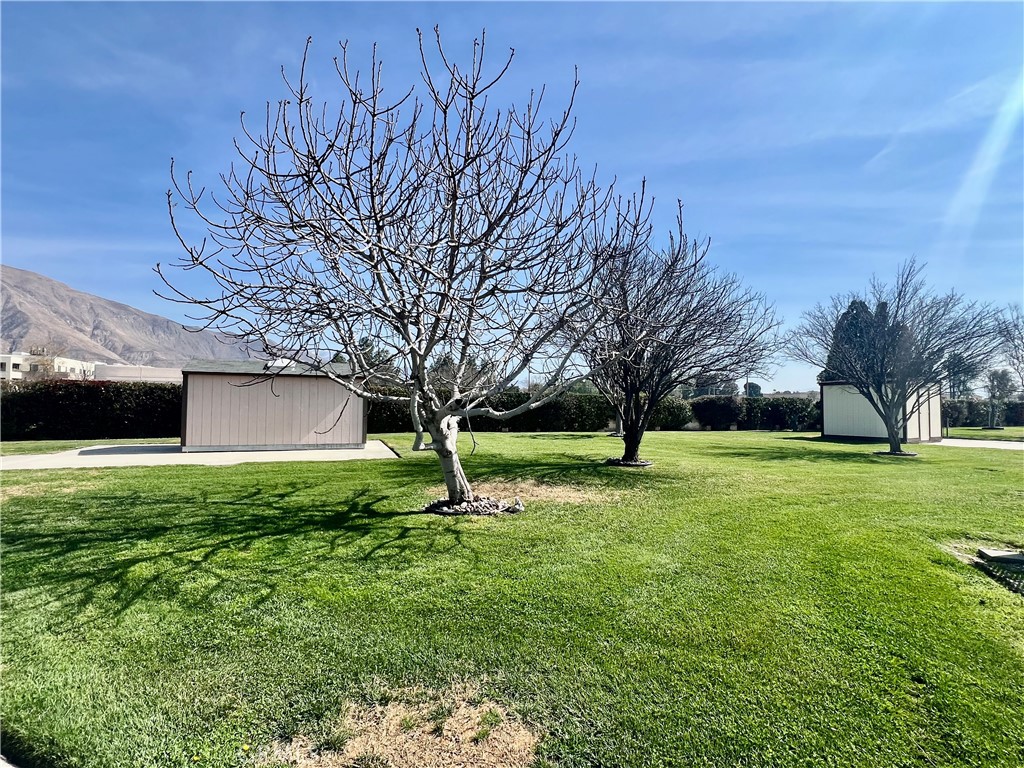 1454 Western Property Photo 44