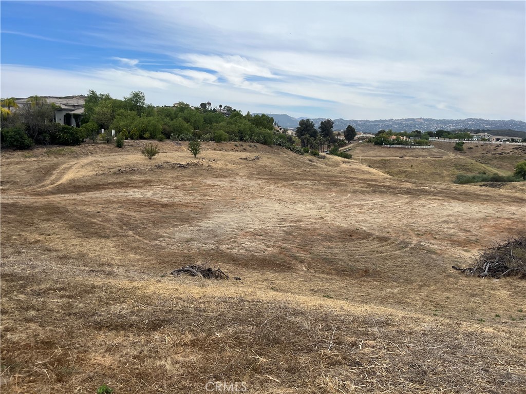 41165 Calle De Suenos Property Photo 3