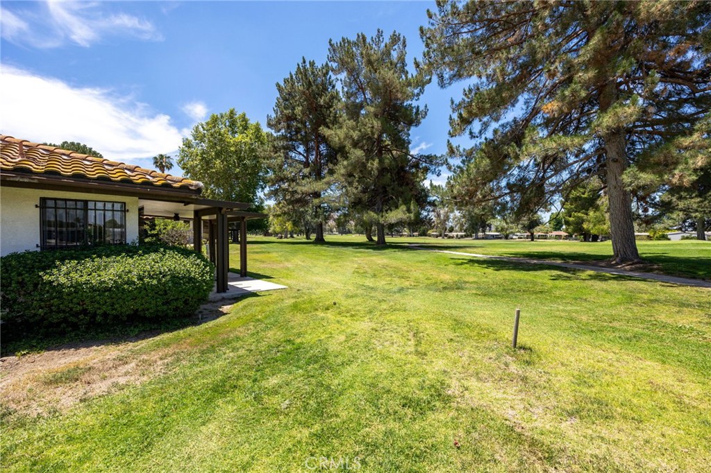 1229 Seven Hills Property Photo 10