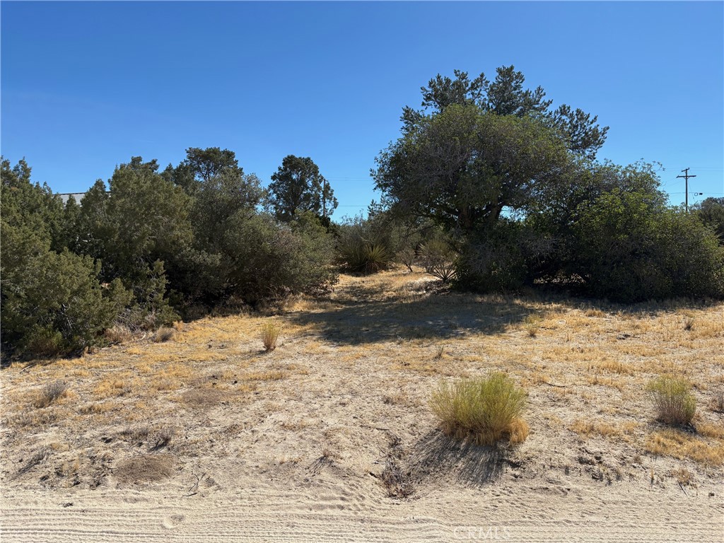 0 Chillon Hts Property Photo 1