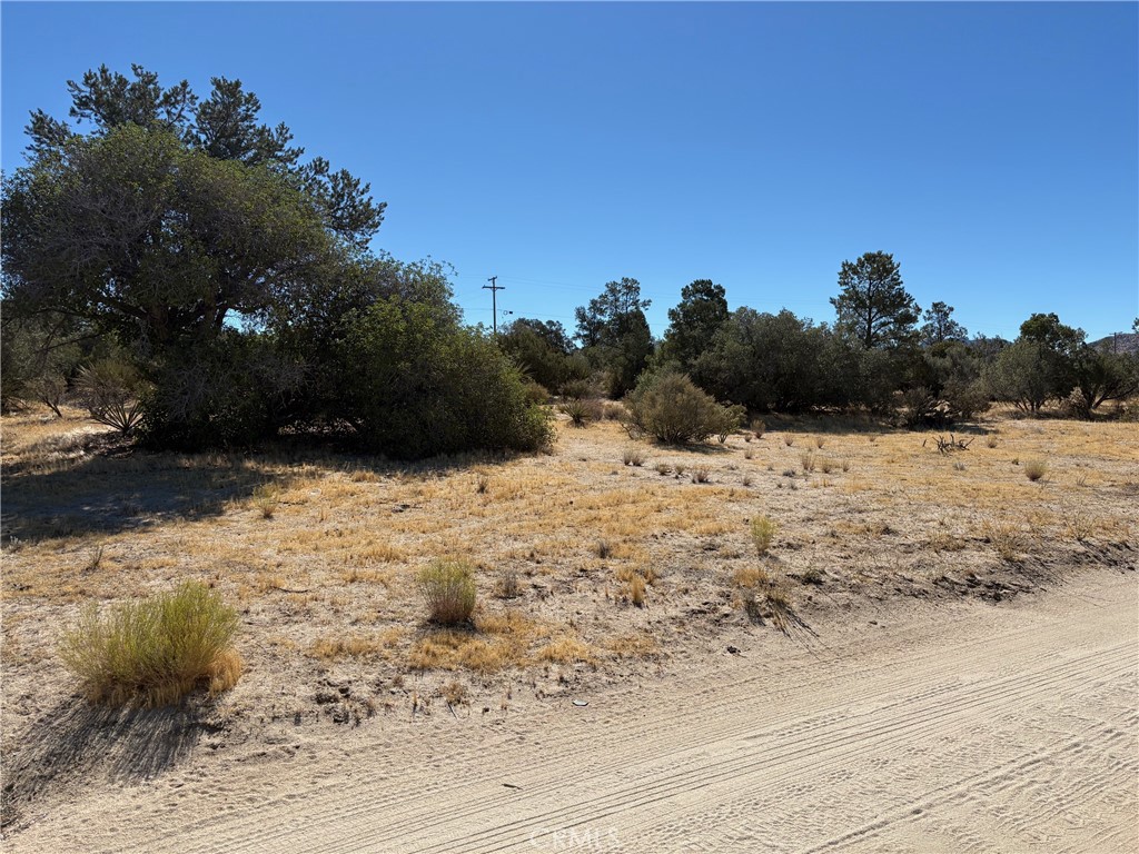 0 Chillon Hts Property Photo 2