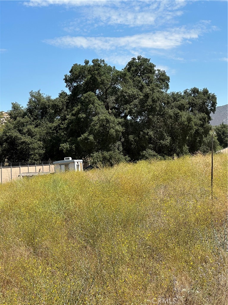 38700 Thomas Road Property Photo 8