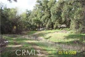 38700 Thomas Road Property Photo 9