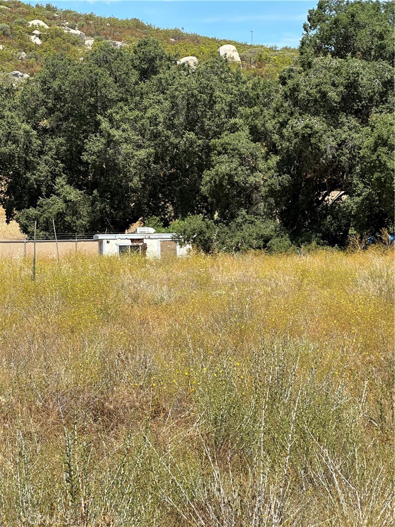 38700 Thomas Road Property Photo 10