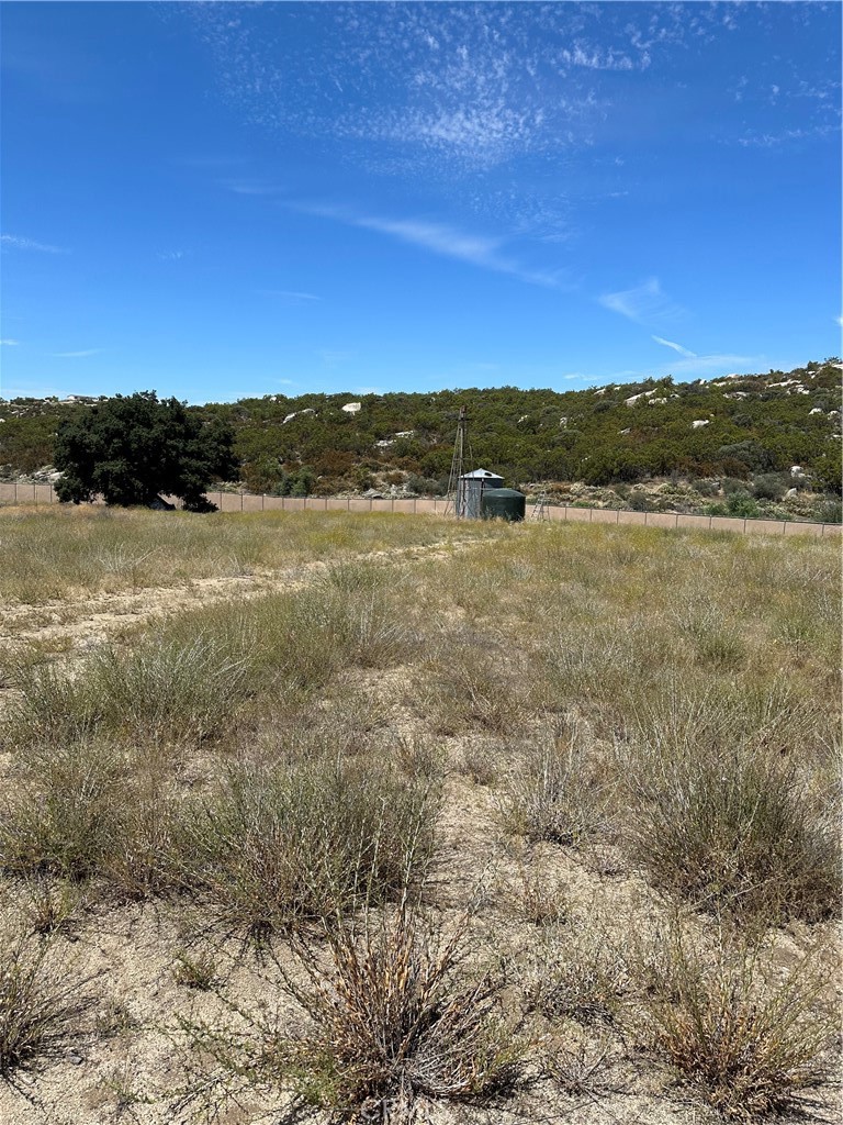 38700 Thomas Road Property Photo 26