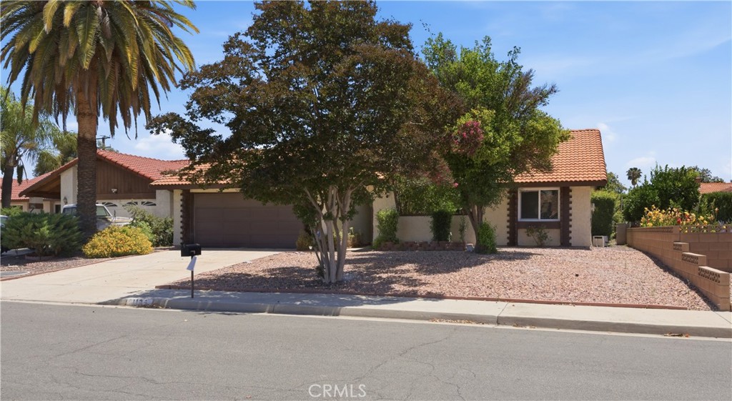 1126 Mayten Tree Court Property Photo 3