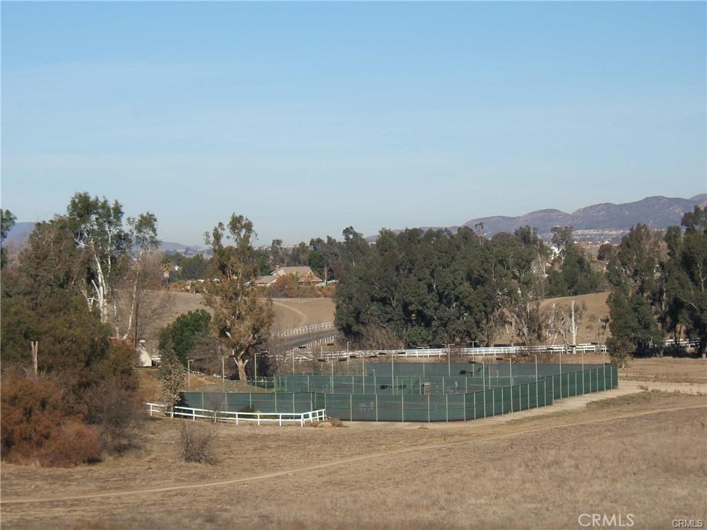 30673 Del Rey Property Photo 43