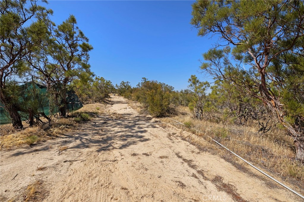 44627 Laura Lane Property Photo 20
