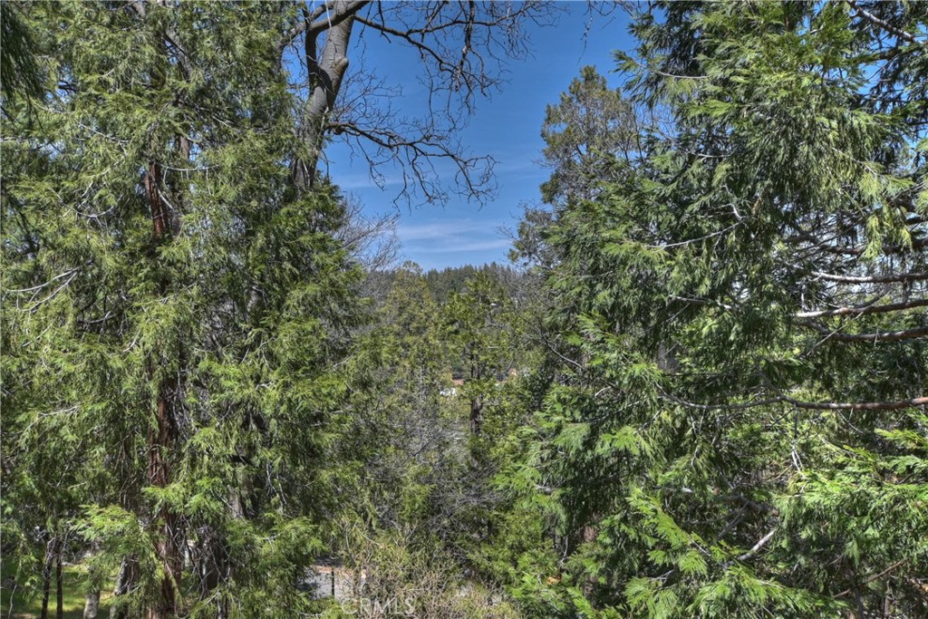 24032 Alpine Drive Property Photo 44
