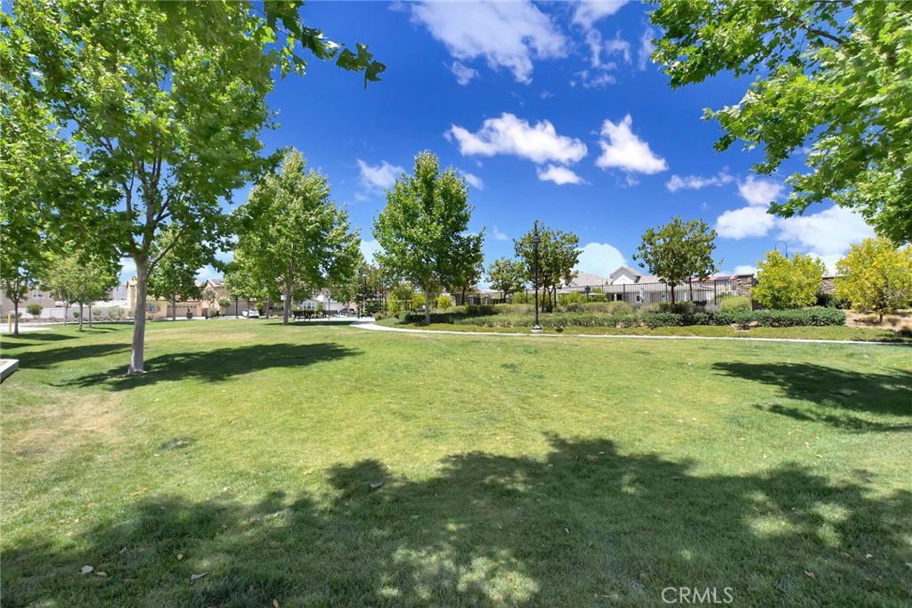 24242 Hazelnut Property Photo 35