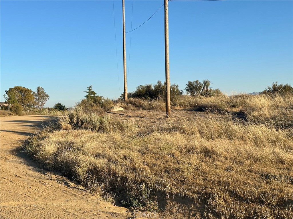 0 Lake Canyon Drive Property Photo 12